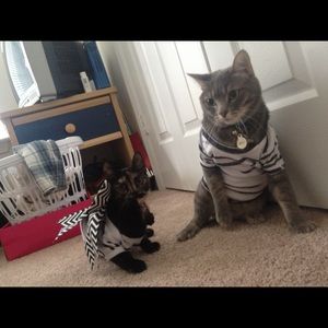 Meet your Posher, Kathryn