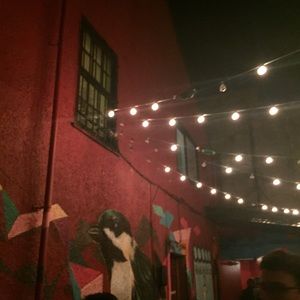 Meet your Posher, Kourtney