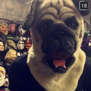 Meet your Posher, Felipe