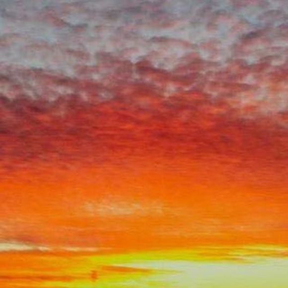 Meet your Posher, Patricia