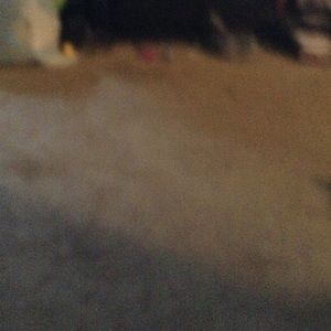 Meet your Posher, Brandy