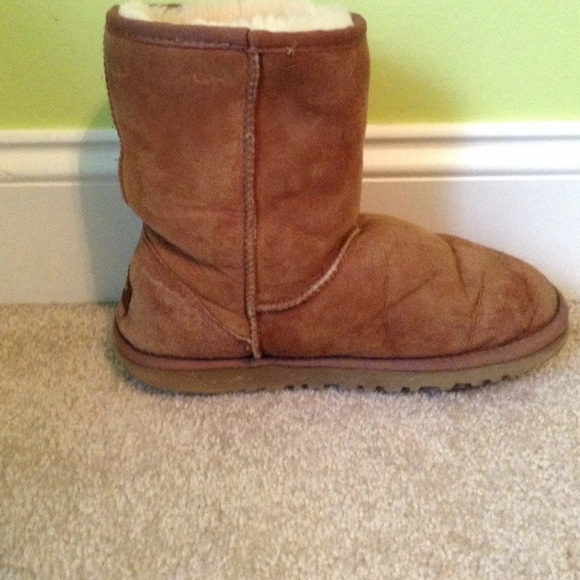 chestnut uggs