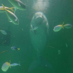 Meet your Posher, Aki