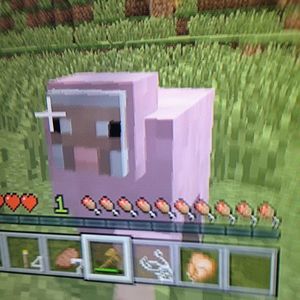 Meet your Posher, Jacob