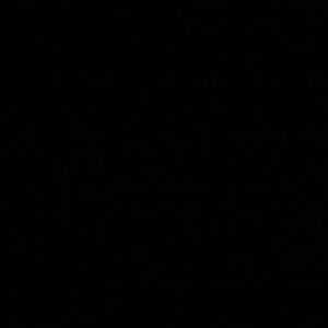 Meet your Posher, Deisy