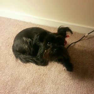 Meet your Posher, Sharonda