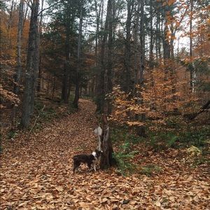 Meet your Posher, Cole