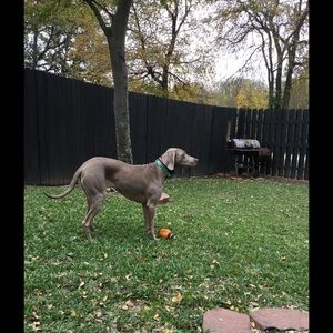 Meet your Posher, Miryan