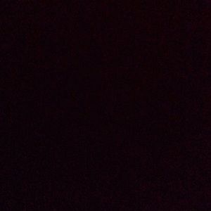 Meet your Posher, Anjelica