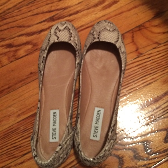 Snake Printed Steve Madden Flats