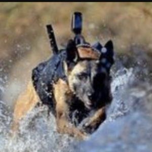 Meet your Posher, Hi