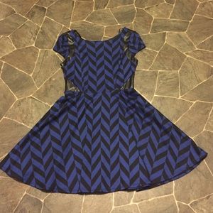 Striped Blue and Black Skater Dress