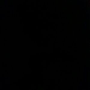 Meet your Posher, Vickie