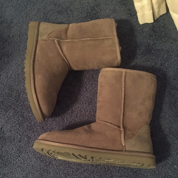 Short Gray Ugg Boots