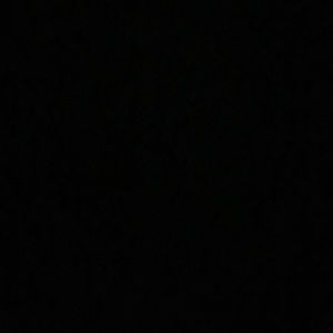 Meet your Posher, Ella