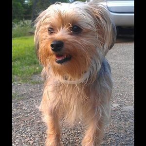 Meet your Posher, Kelsey