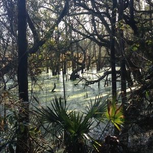 Meet your Posher, Evangelyn