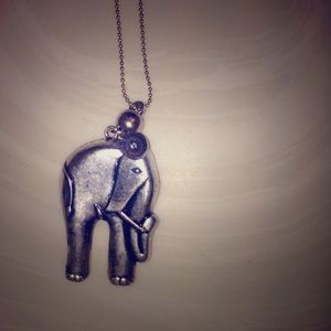 Long chain elephant necklace.
