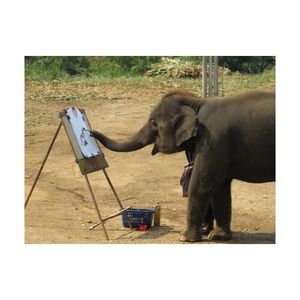 Meet your Posher, Desiree