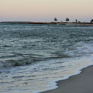 Meet your Posher, Aviana