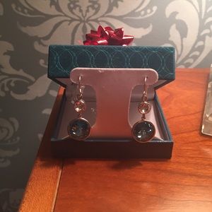 Blue and silver stone earrings