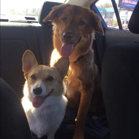 Meet your Posher, Stephanie - Picture 2 of 2