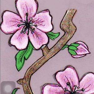 Meet your Posher, Shania