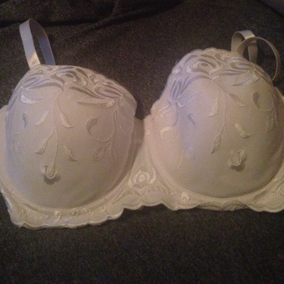 Beautiful embroidered bra