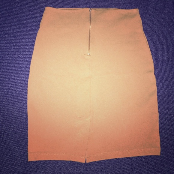 Zara Pencil Skirt