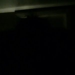 Meet your Posher, Marsha