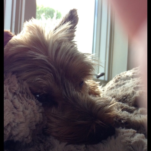 Meet your Posher, Melissa