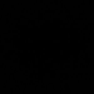 Meet your Posher, Brielle