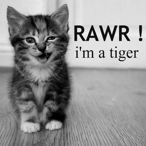 Meet your Posher, Chelsey