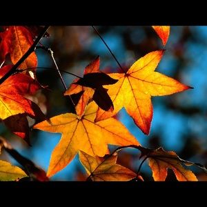 Meet your Posher, Rick