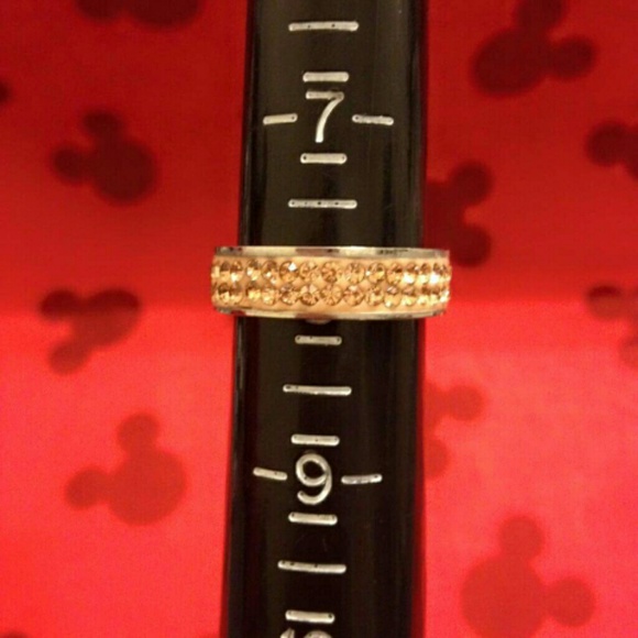 🖤Peach Stainless Steel Eternity Ring-102