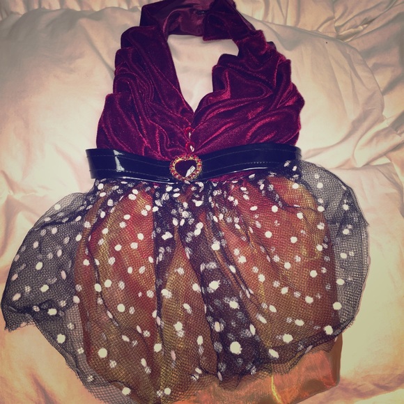 Adorable holiday dress for your doggy!