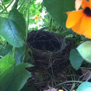 Meet your Posher, Connie