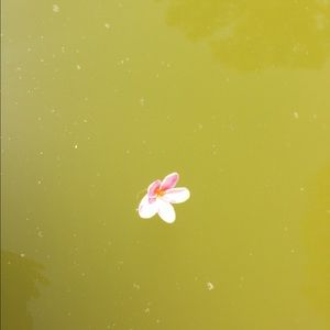 Meet your Posher, Kk