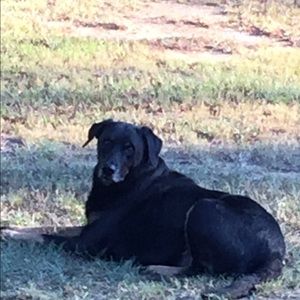 Meet your Posher, Jill