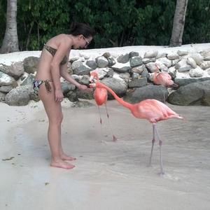 Meet your Posher, Roma