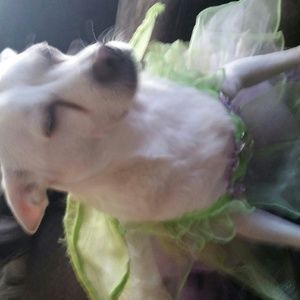 Meet your Posher, Jayme