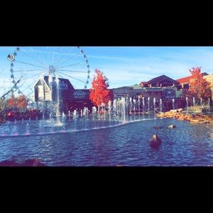 Meet your Posher, Amelia