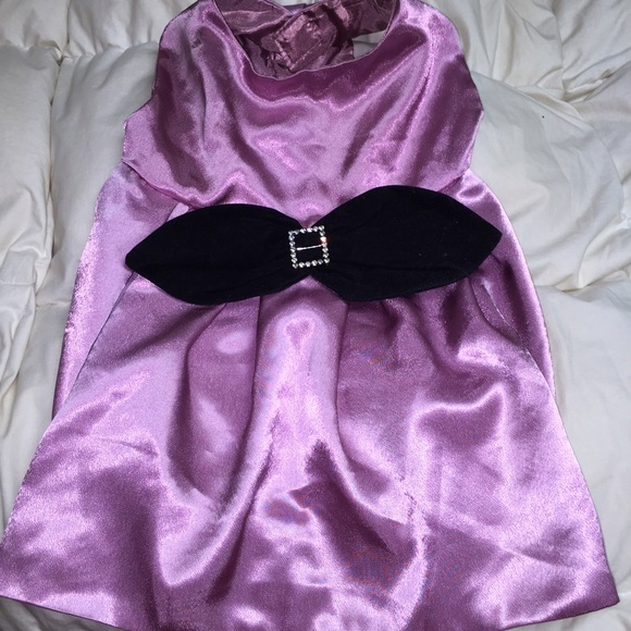 Dog dress!