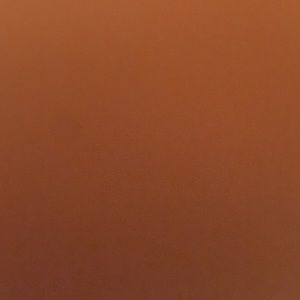 Meet your Posher, Demetria