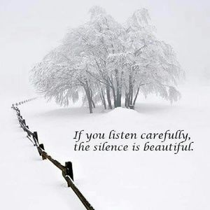 Meet your Posher, Tony