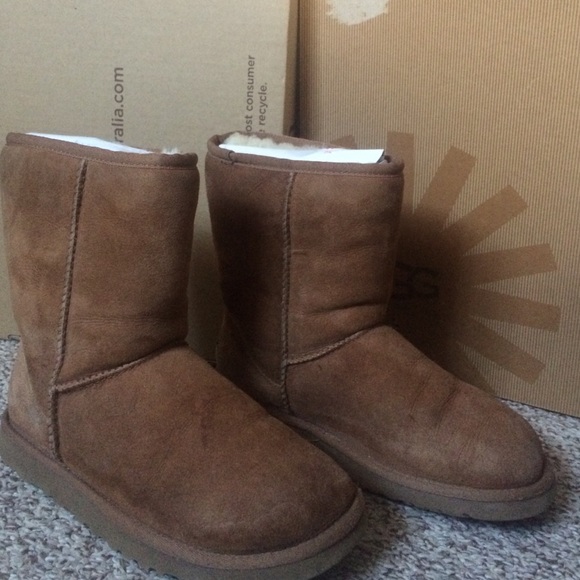 chestnut uggs short (not the shortest)