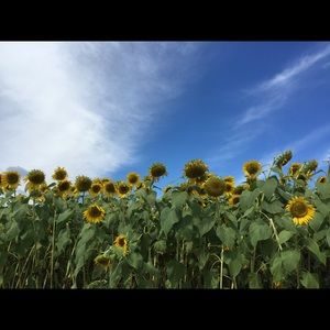 Meet your Posher, Li