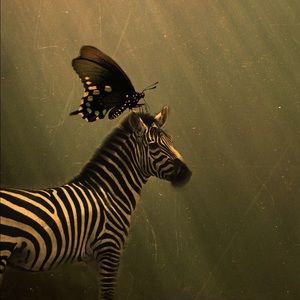 Meet your Posher, Ramona