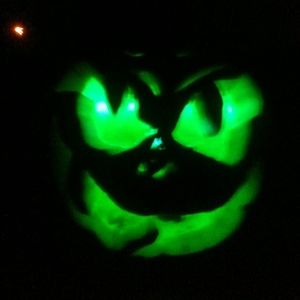 Meet your Posher, Shelly