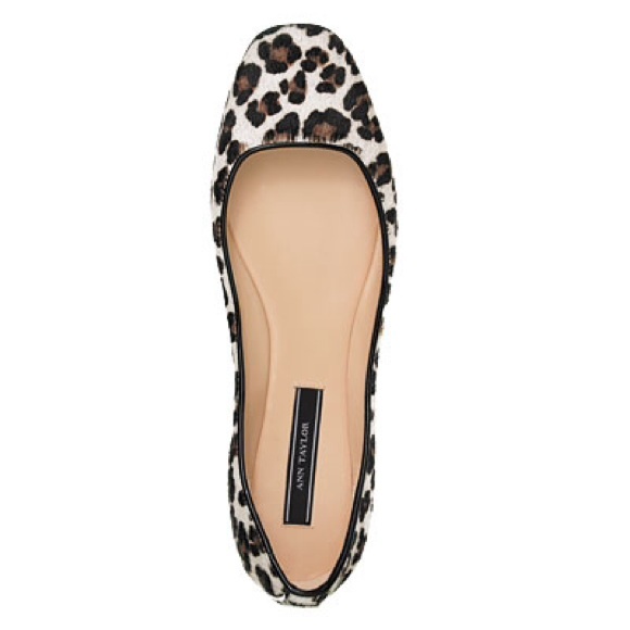 ann taylor leopard flats